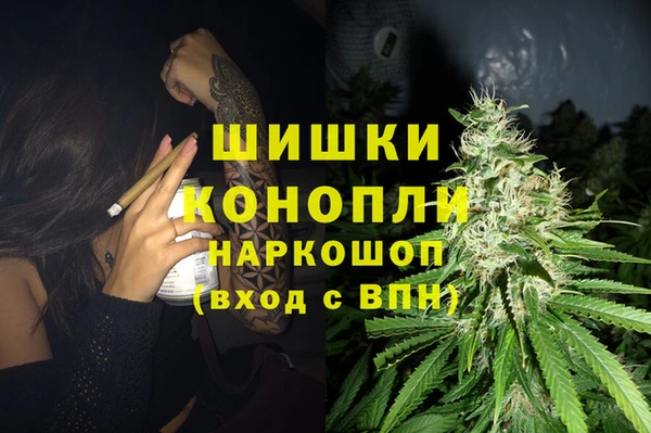 шишки Богданович